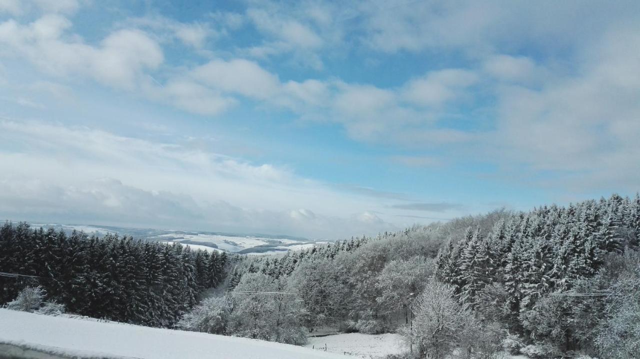 Eifel Ferienhaus Luna Ohlenhard ภายนอก รูปภาพ